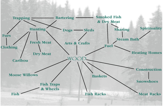 An example of how one resource is utilized in a variety of ways.