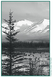 Courtesy of Joan Herrmann