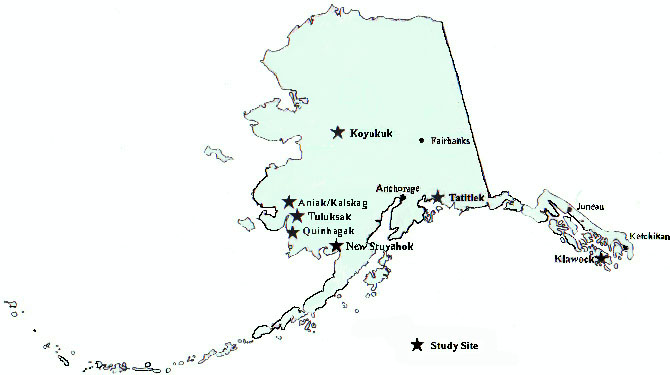 Study Of Alaska Rural Systemic Reform Final Report