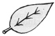 ovate leaf