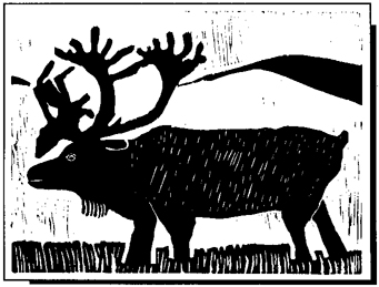 Caribou by There C. Barr