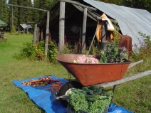 Produce from Howard’s camp, Aug 2006