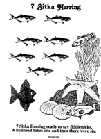 7 Sitka Herring