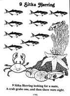9 Sitka Herring