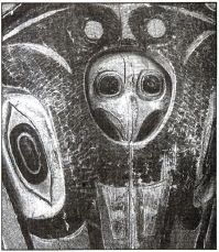 Raven looks out of the blow hole