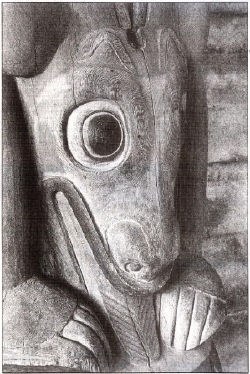 The sea lion's tongue hanging out signifies its death