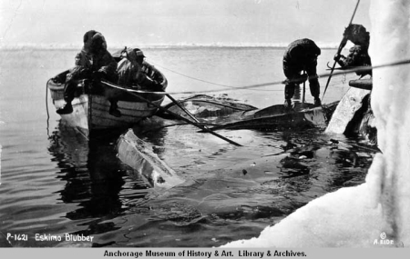 Northern Alaskan Eskimos with harpoons and whale carcass, c. 1920