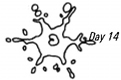 Day 14