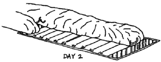 When a glacier surges