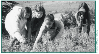 Mentasta students Dawn Marie Rice, Genevie Goodlataw, Jodi Chinuhuk and Challista Sabon gather raspberries for use in various traditional foods.