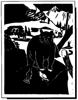 Alaskan Wildlife by Janet Swan