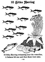 10 Sitka Herring