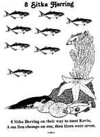 8 Sitka Herring