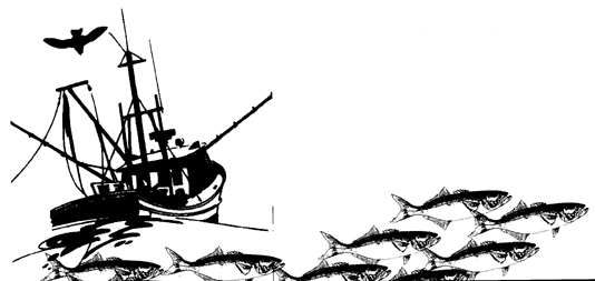 ship and fish