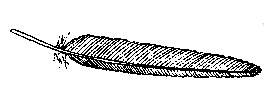 Feather