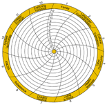 ANKN Spiral Chart