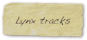 Lynx tracks

