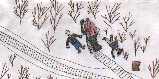 Crash on a Snow Machine 