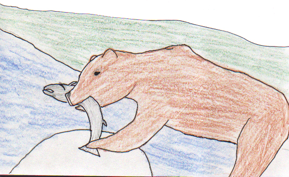 GRIZZ FOR THE SUMMER 