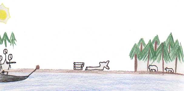 If I were a bear I would..... 