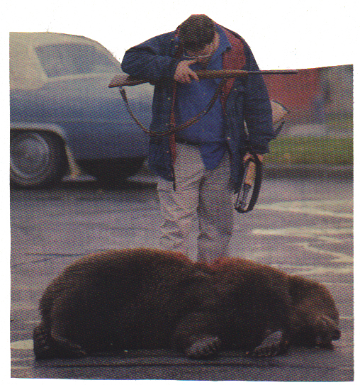 The Body of a Grizzly Bear 