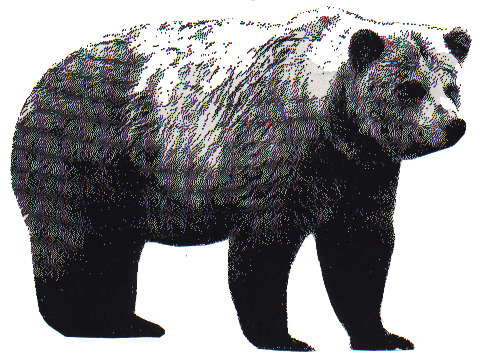 The Great Legend of Shawn Johnson