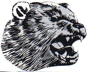 The Excitement of the Bear 