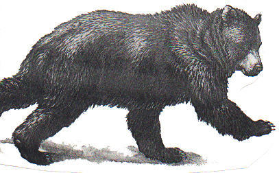 My Grandmother's Story 