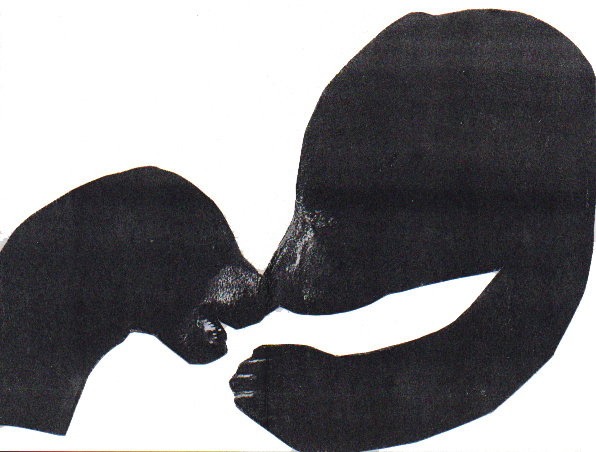 The Lucky Black Bear 