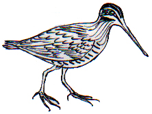 SNIPERS AND SWALLOWS 