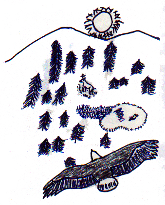 How the Eagle Got It's White Head