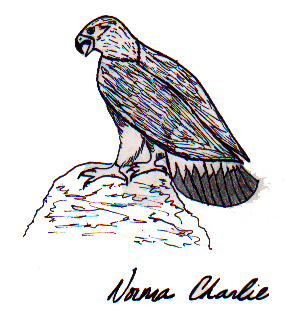 AS AN EAGLE 