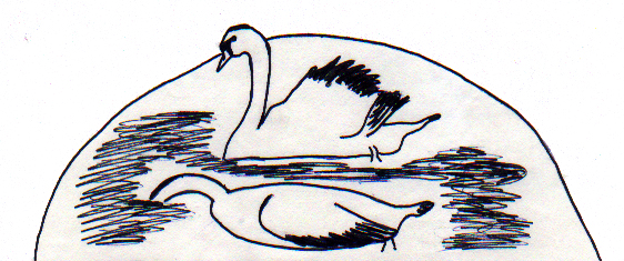 FLOCK OF SWANS