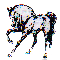horse