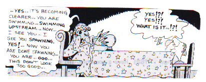 Animal Habitat Continues to Vanish 