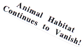 ....the Crystal Ball