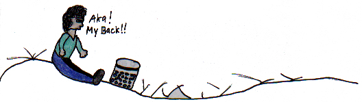 Homemade Blueberry Pie