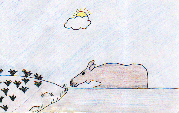 A Blood Trail But No Moose