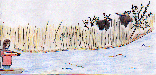 The First and Last Time I Saw a Moose