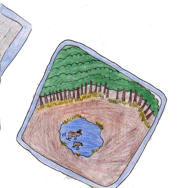 Moose from an Airplane