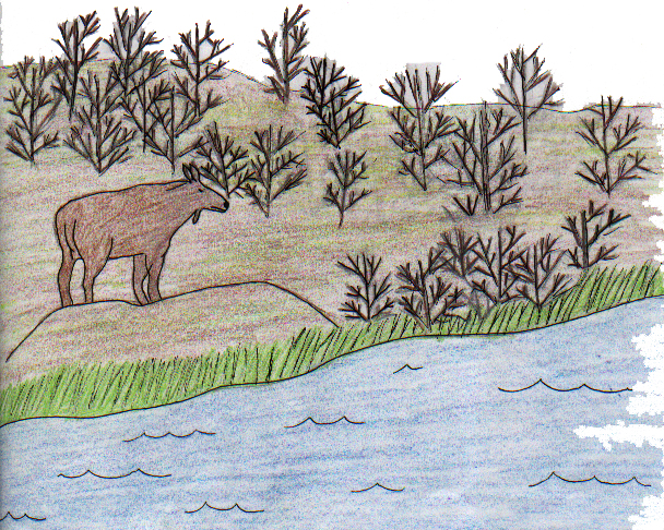 Barely Able to Stand