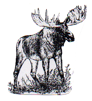 Stories by Successful Hunters