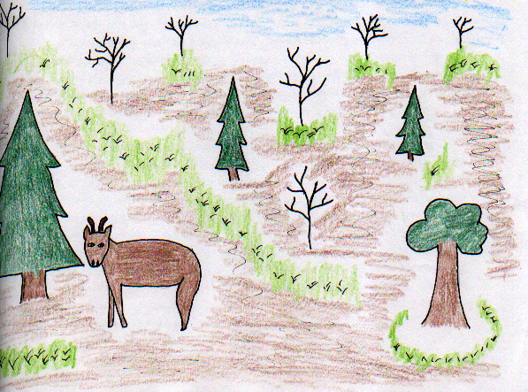 Shot Through The Heart!