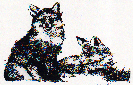 How the Fox Got His Red Coat 