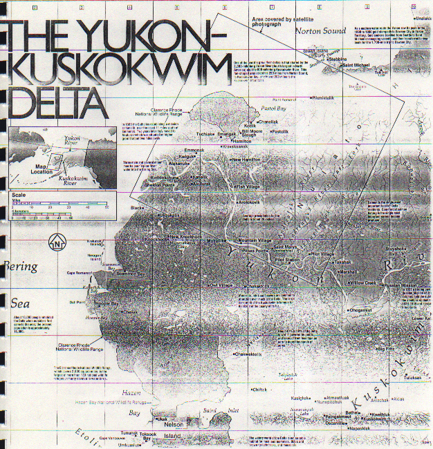The Yukon-Kuskokwim Delta