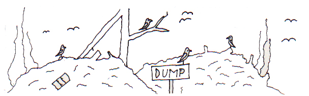 Why Ravens Live around Villages