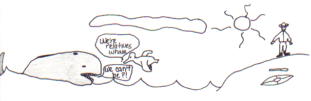 How Raven Killed The Whale 