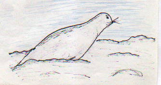 The Bearded Seal and the Otter 