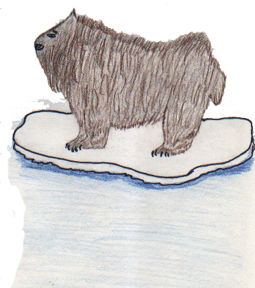 "The Sea-Bear that turned into a Seal" 