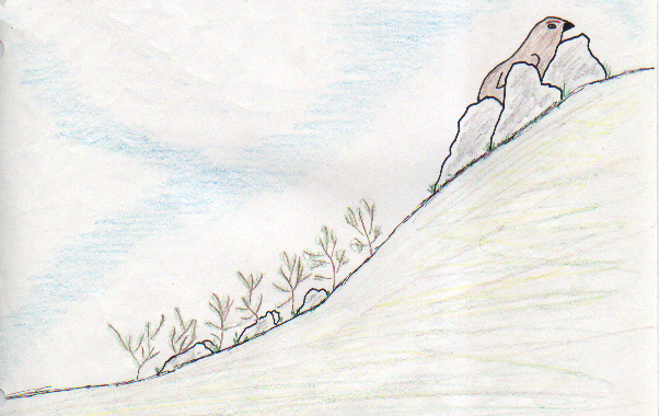 "HOW THE PTARMTIGAN GOT HER RED EYEBROWS"